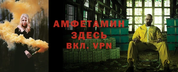 ешки Алексин