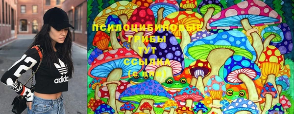 СК Алексеевка