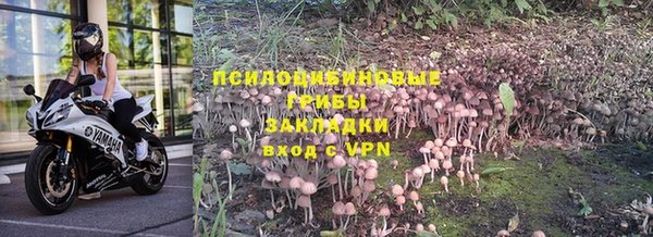 ешки Алексин